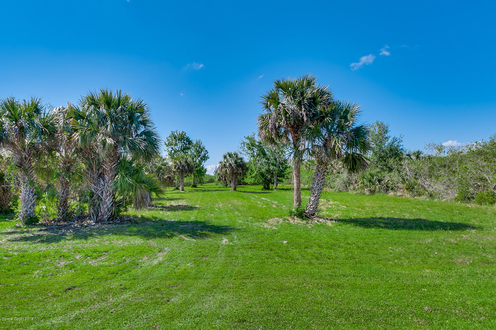 333 Deer Run Road Palm Bay, FL 32909 - Photo 41 of 75 29_333DEERRUN8498_mls