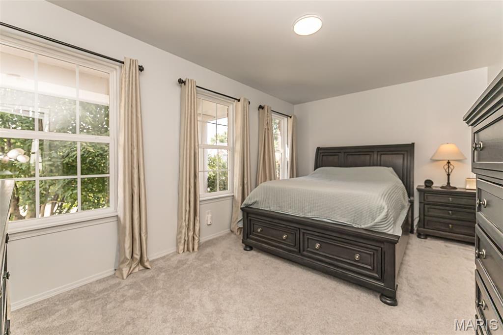 356 Carr Manor Court Ballwin, MO 63021 - Photo 23 of 38