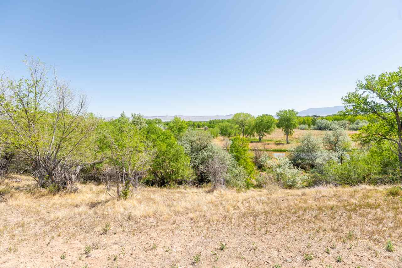 320 1/2 Rosevale Road Grand Junction, CO 81507 - Photo 31 of 34 Gallery Image 31