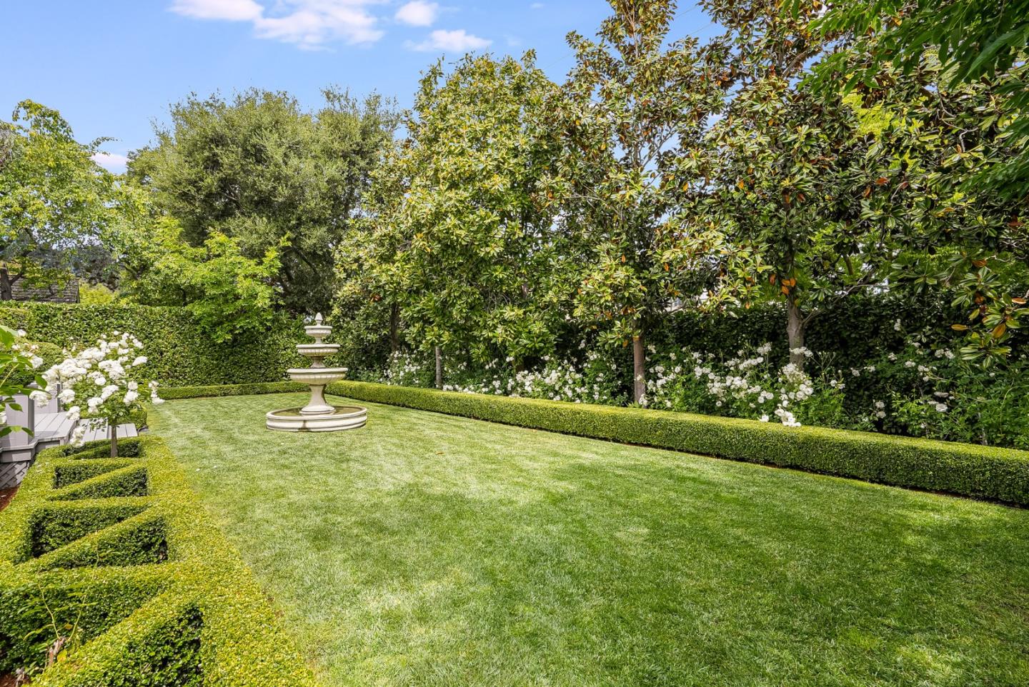 75 Riordan Place Menlo Park, CA 94025 - Photo 49 of 55 a view of a yard with a tree