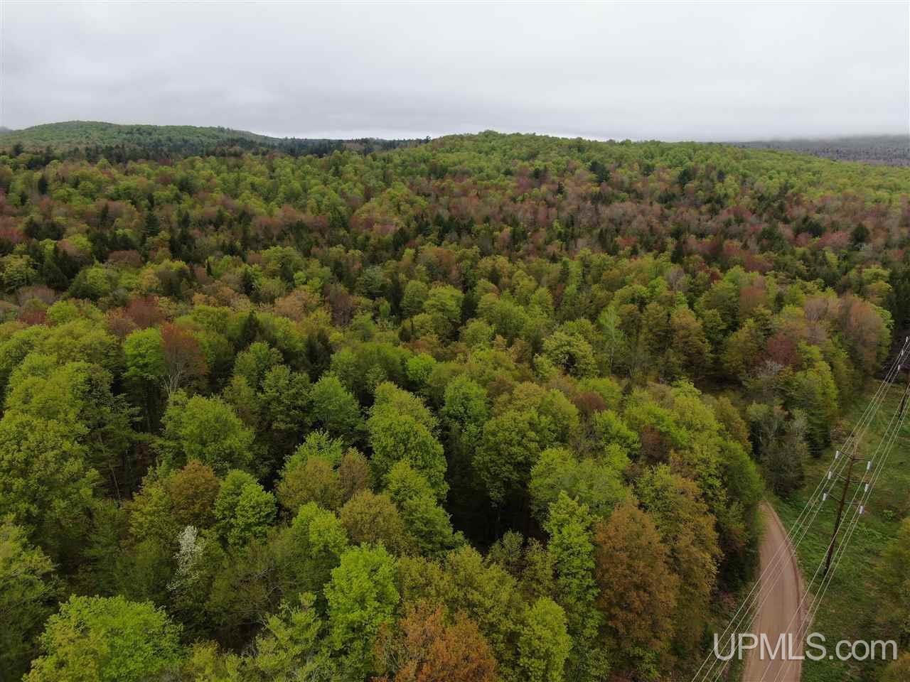 0 County Road 577 Road, Unit ANNA RIVER RDP Munising, MI 49862 - Photo 4 of 26