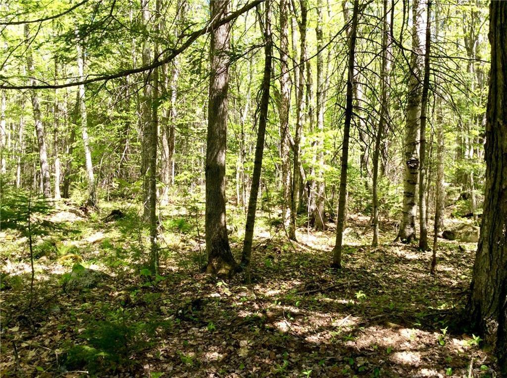 Lot Harnden Harnden Road Denmark, ME 04022 - Photo 10 of 25 Photo