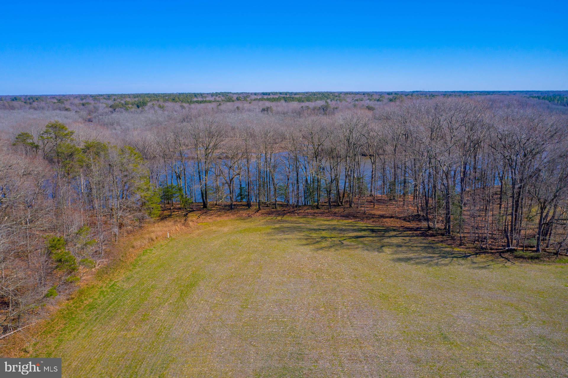 New Bridge Road Denton, MD 21629 - Photo 3 of 29 Gallery Image 3