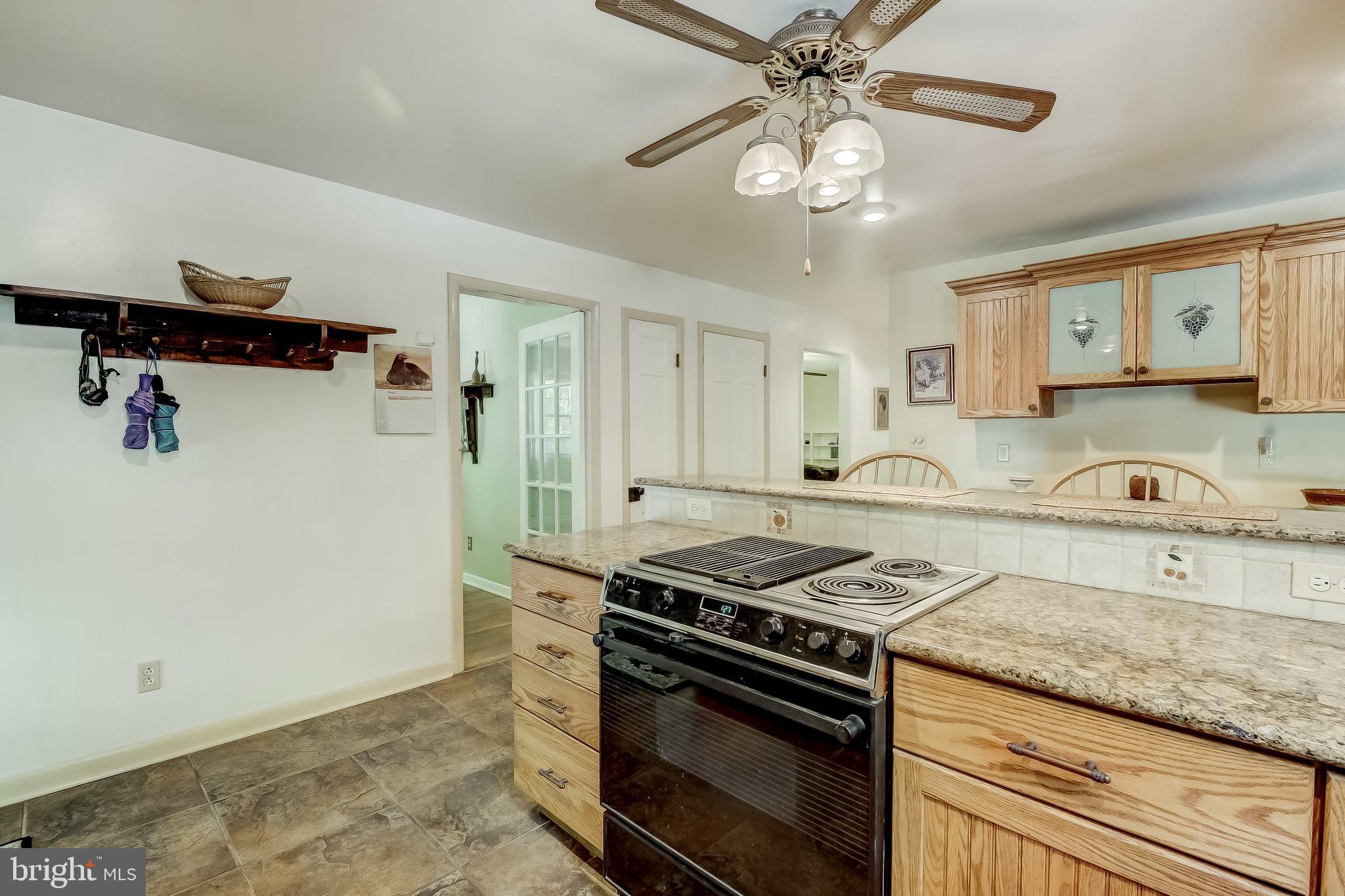 16114 Cedar Grove Road Sparks, MD 21152 - Photo 28 of 74 Ceiling Fan, Granite Counters