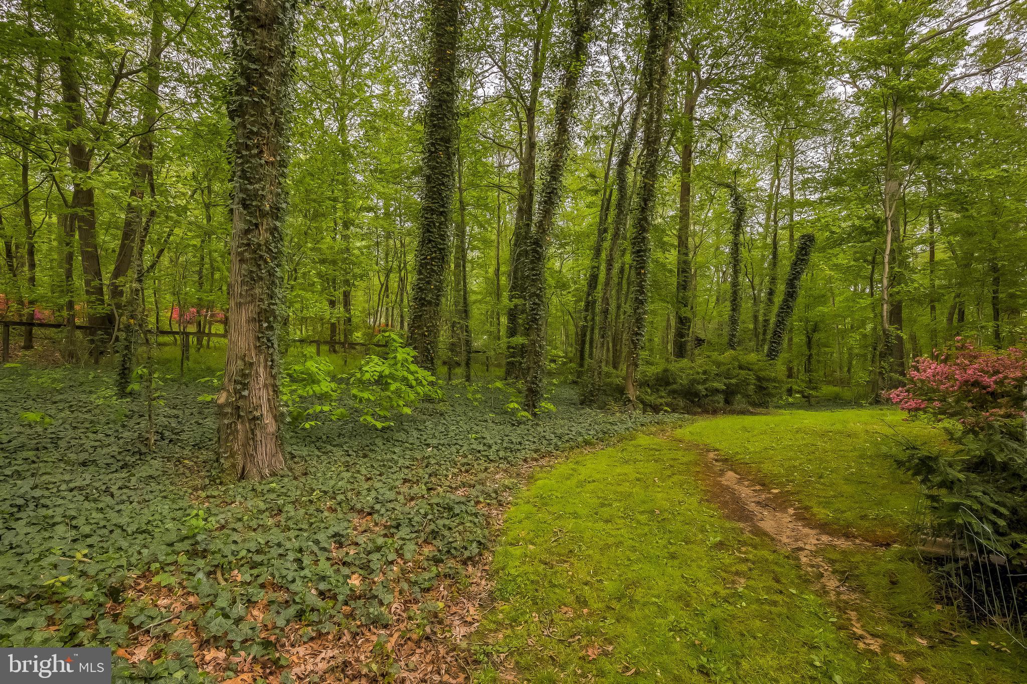 16114 Cedar Grove Road Sparks, MD 21152 - Photo 70 of 74 Treed Acreage
