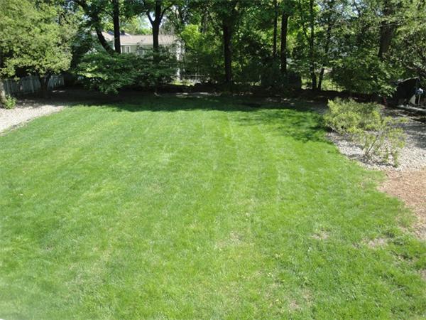 261 Marrett Road Lexington, MA 02421 - Photo 20 of 24 a view of a yard