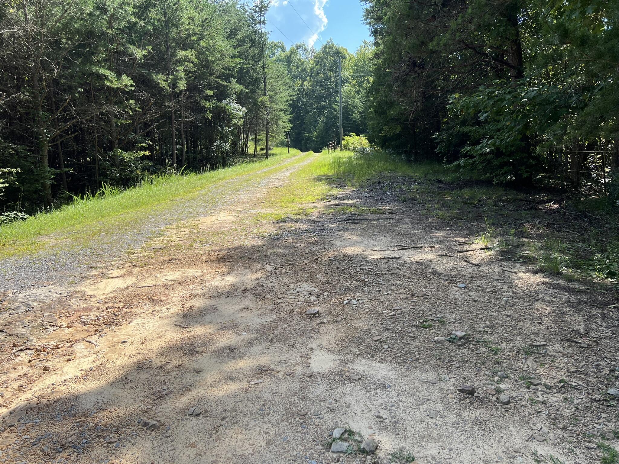 754 Dale Trail Menlo, GA 30731 - Photo 26 of 28 IMG_1978