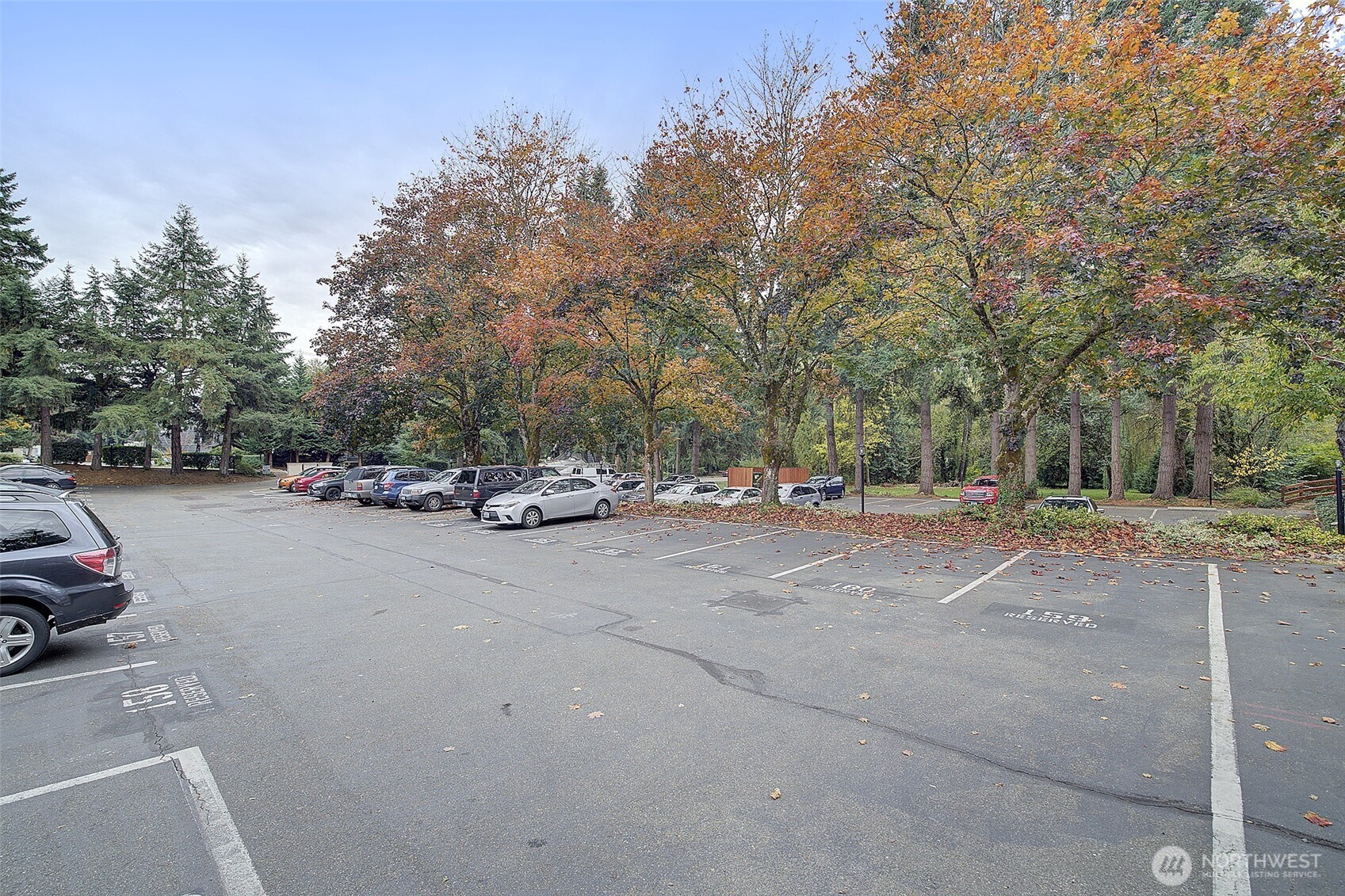 9900 Northeast 124th Street, Unit 1315 Kirkland, WA 98034 - Photo 20 of 20 a view of street with parked cars