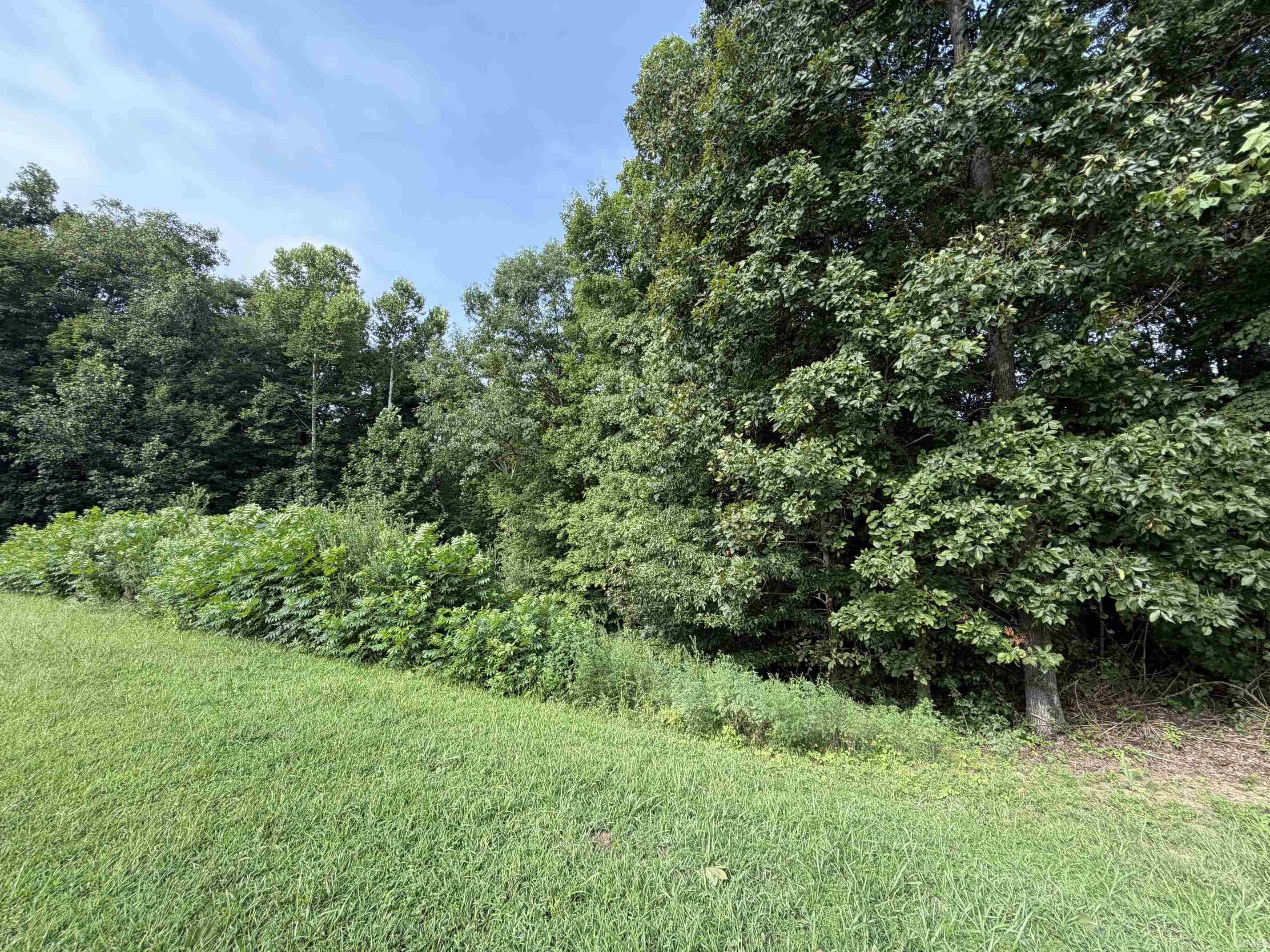 0 St Road Velpen, IN 47590 - Photo 1 of 8 Gallery Image 1