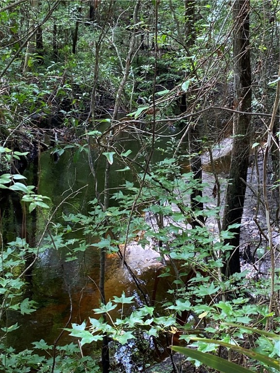45059 Taylor Road Callahan, FL 32011 - Photo 12 of 27 a backyard of a house with a yard with plants and lake view