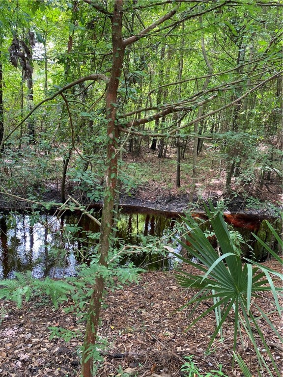 45059 Taylor Road Callahan, FL 32011 - Photo 13 of 27 a view of outdoor space and yard