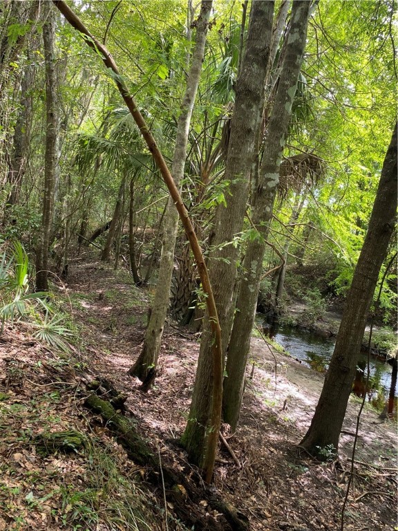 45059 Taylor Road Callahan, FL 32011 - Photo 14 of 27 a picture of trees