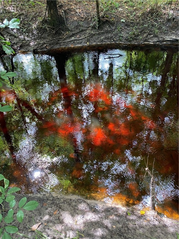 45059 Taylor Road Callahan, FL 32011 - Photo 15 of 27 a view of a yard