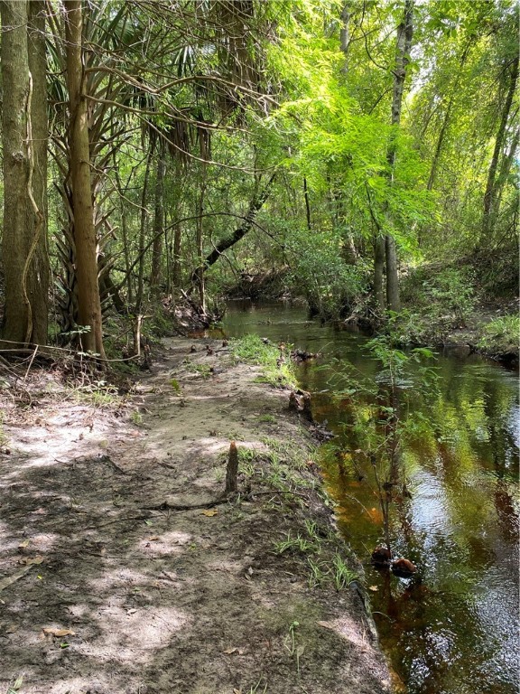 45059 Taylor Road Callahan, FL 32011 - Photo 16 of 27 a backyard of a house with lots of green space