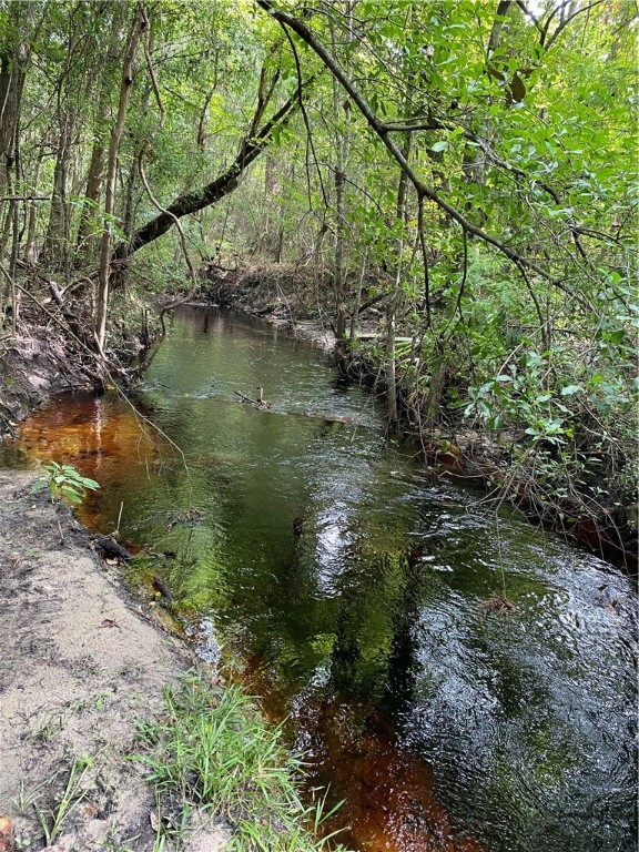 45059 Taylor Road Callahan, FL 32011 - Photo 19 of 27 a view of lake with green space