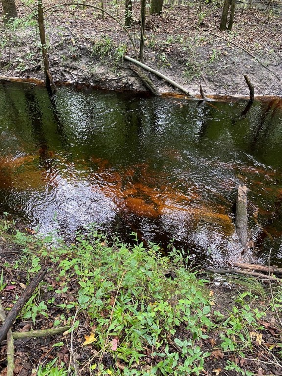 45059 Taylor Road Callahan, FL 32011 - Photo 20 of 27 a view of a lake with beach and outdoor space