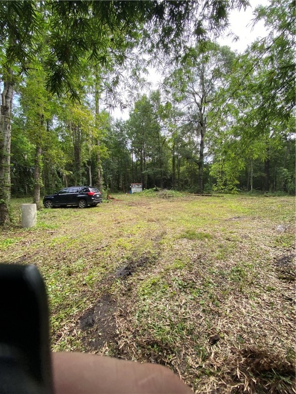 45059 Taylor Road Callahan, FL 32011 - Photo 2 of 27 a view of a water fountain