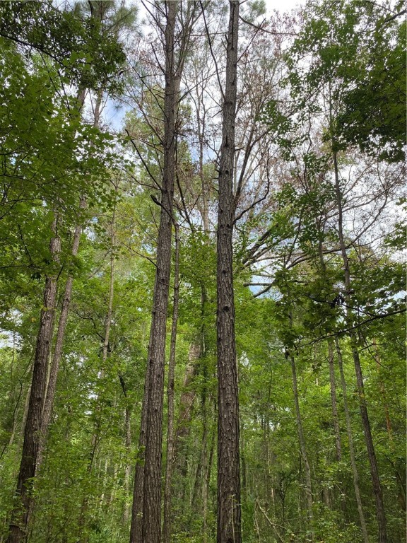 45059 Taylor Road Callahan, FL 32011 - Photo 22 of 27 a view of outdoor space and trees