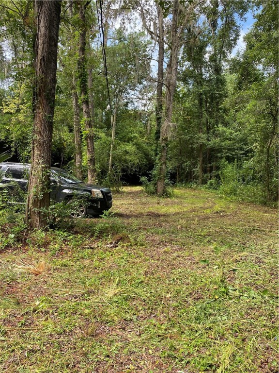 45059 Taylor Road Callahan, FL 32011 - Photo 25 of 27 a view of a park with trees