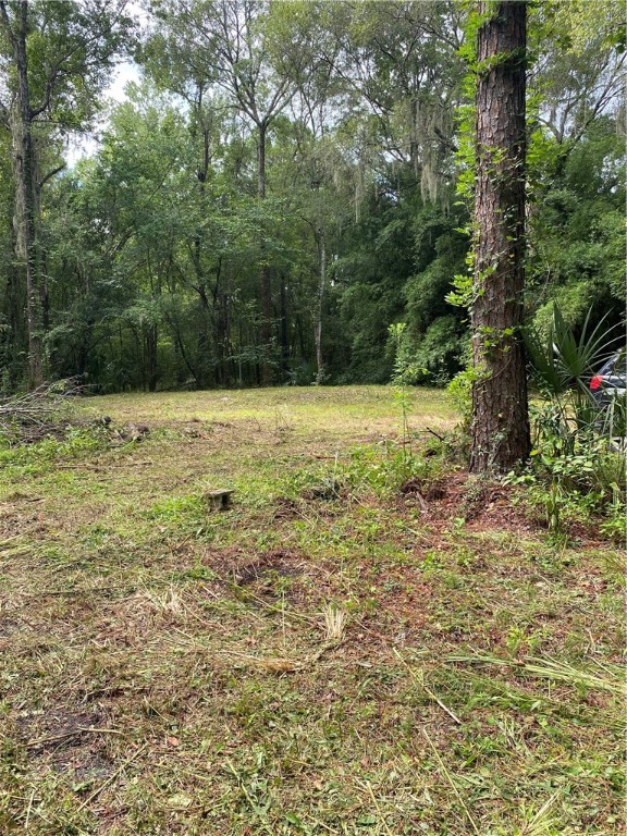 45059 Taylor Road Callahan, FL 32011 - Photo 26 of 27 a view of a yard with a tree