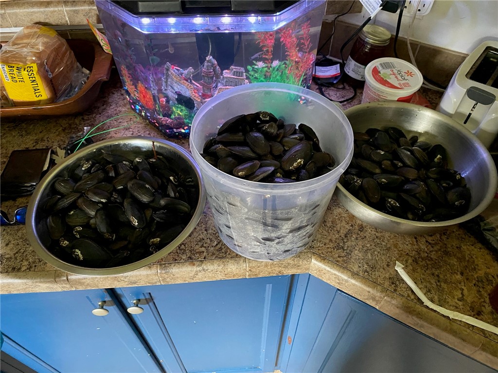 45059 Taylor Road Callahan, FL 32011 - Photo 27 of 27 a kitchen with a stove and cabinets