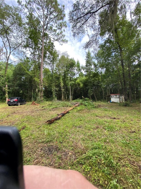 45059 Taylor Road Callahan, FL 32011 - Photo 4 of 27 a backyard of a house with lots of green space