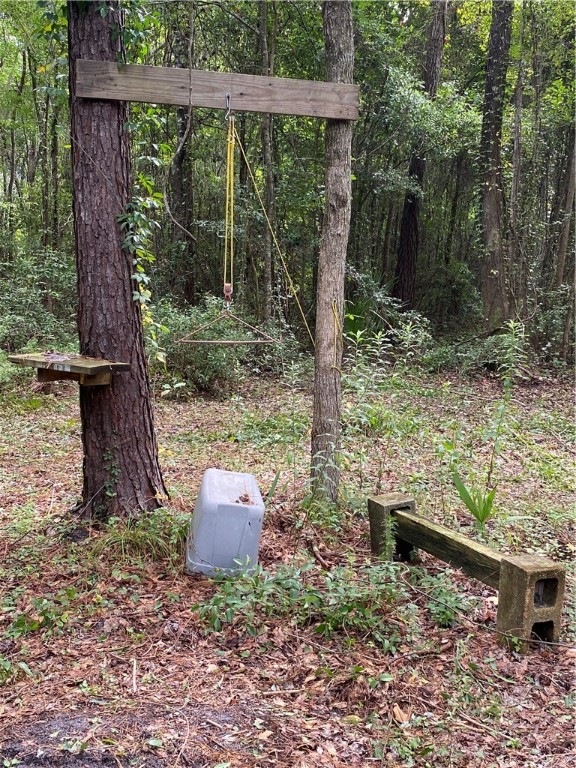 45059 Taylor Road Callahan, FL 32011 - Photo 7 of 27 a backyard of a house with lots of green space and outdoor seating