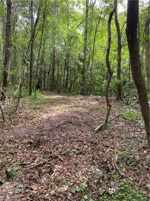 45059 Taylor Road Callahan, FL 32011 - Photo 9 of 27 a big yard with trees in the background