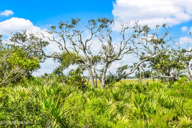 $1,299,000 | 132 Seaside Vista, St. Augustine, FL 32084