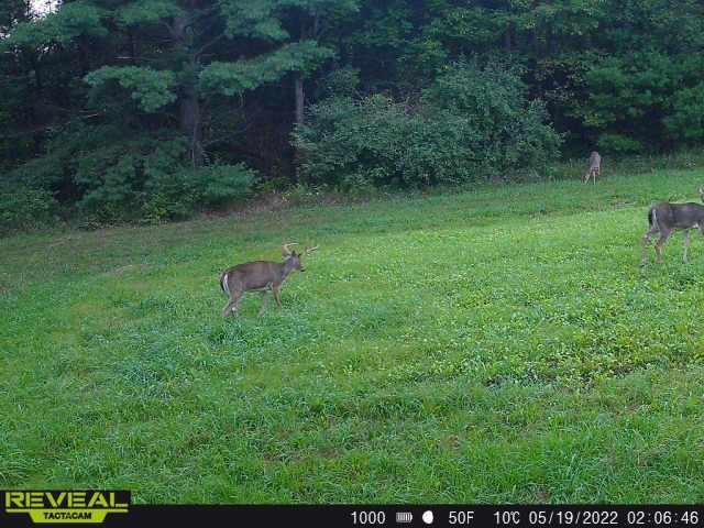 0 North Miller Road East Tawas, MI 48730 - Photo 14 of 23