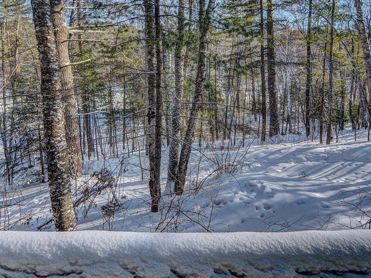 3665 Chain O Lakes Road Eagle River, WI 54521 - Photo 22 of 65 Gallery Image 22