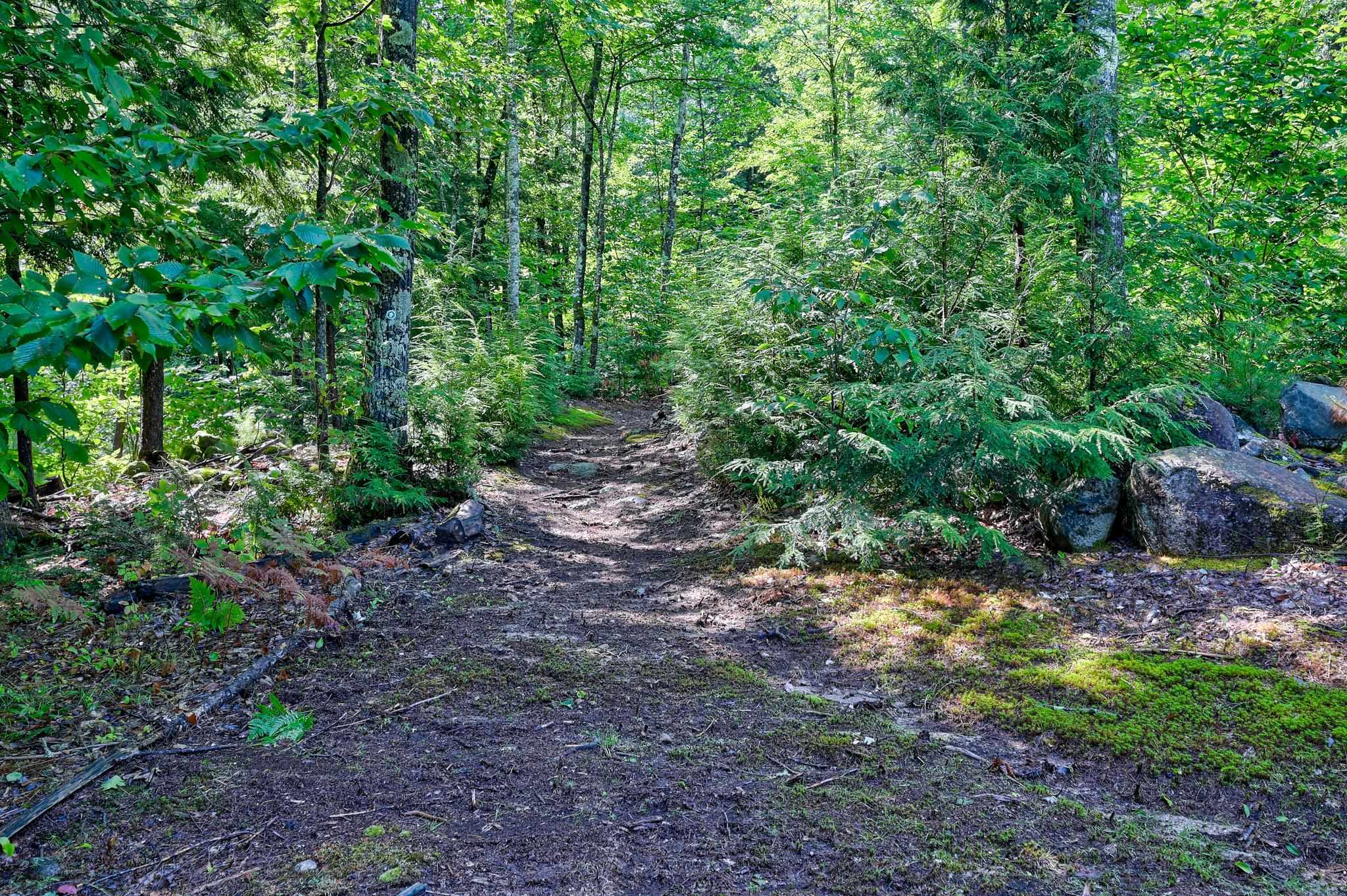 750 Deer Hill Road Madison, NH 03875 - Photo 34 of 40