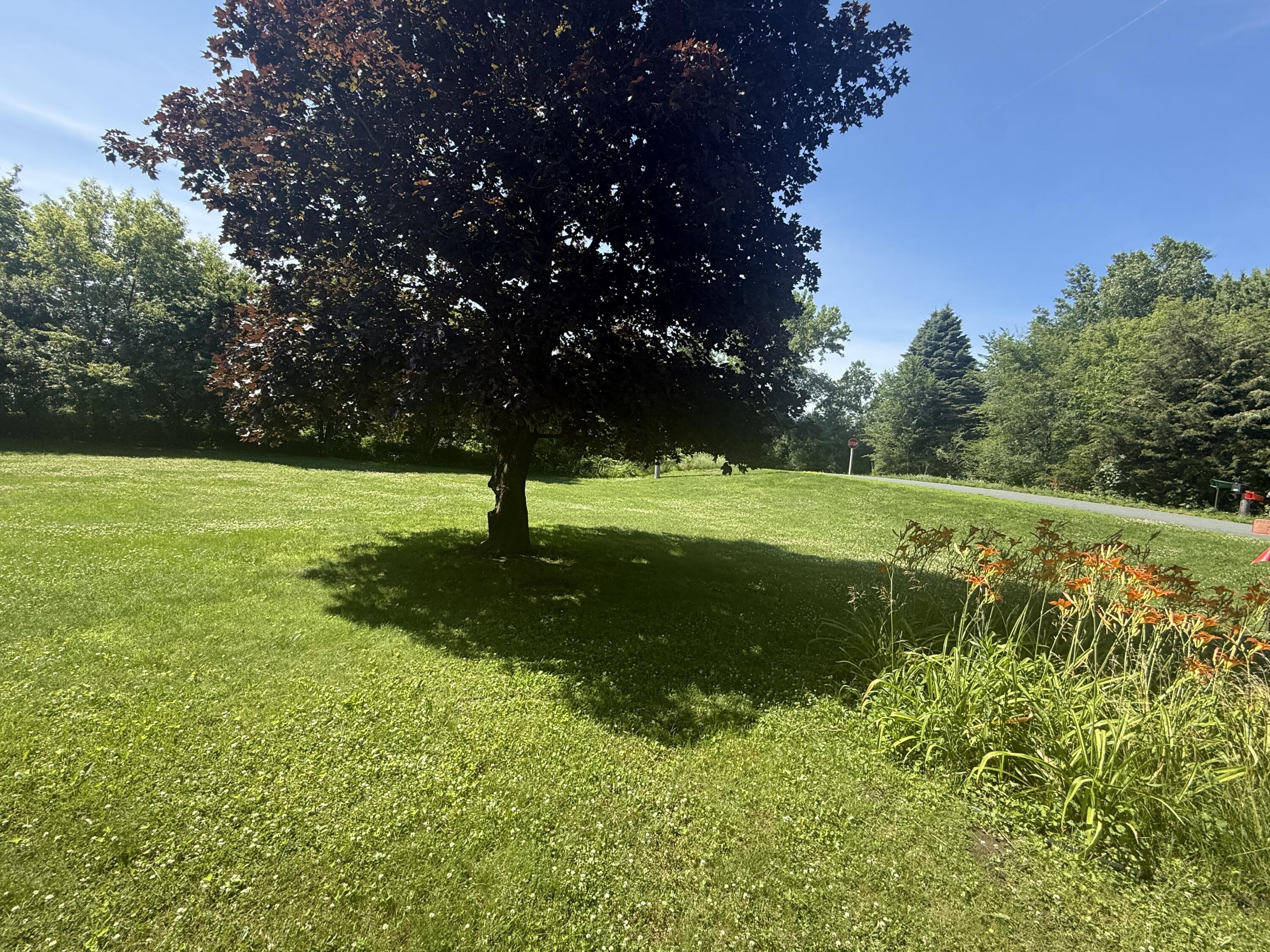 698 Baker Road Hudson, WI 54016 - Photo 23 of 27 Plenty of room for outdoor activities