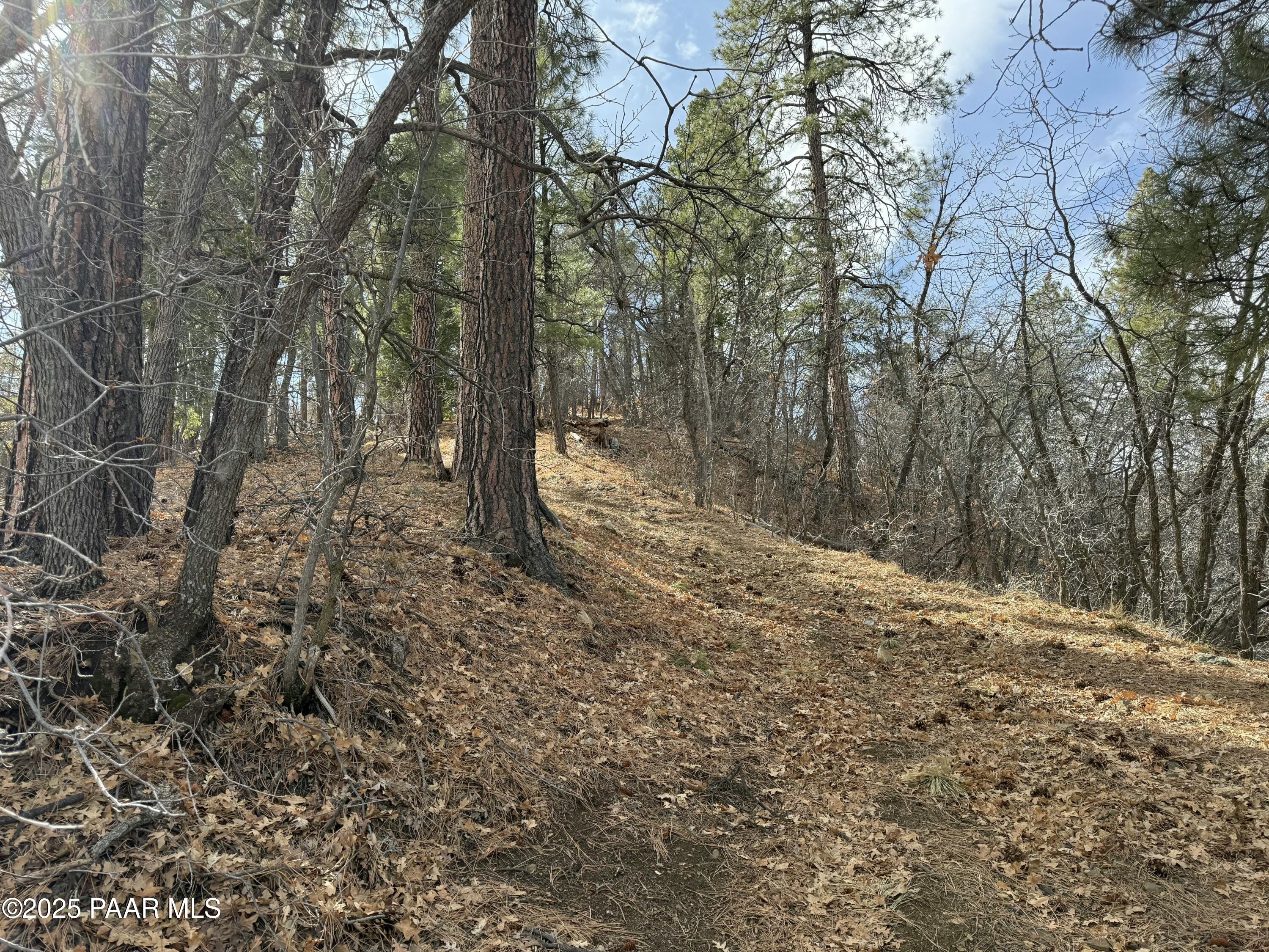 848 South X S Mountain View Road Mayer, AZ 86333 - Photo 2 of 20 a view of a yard with trees