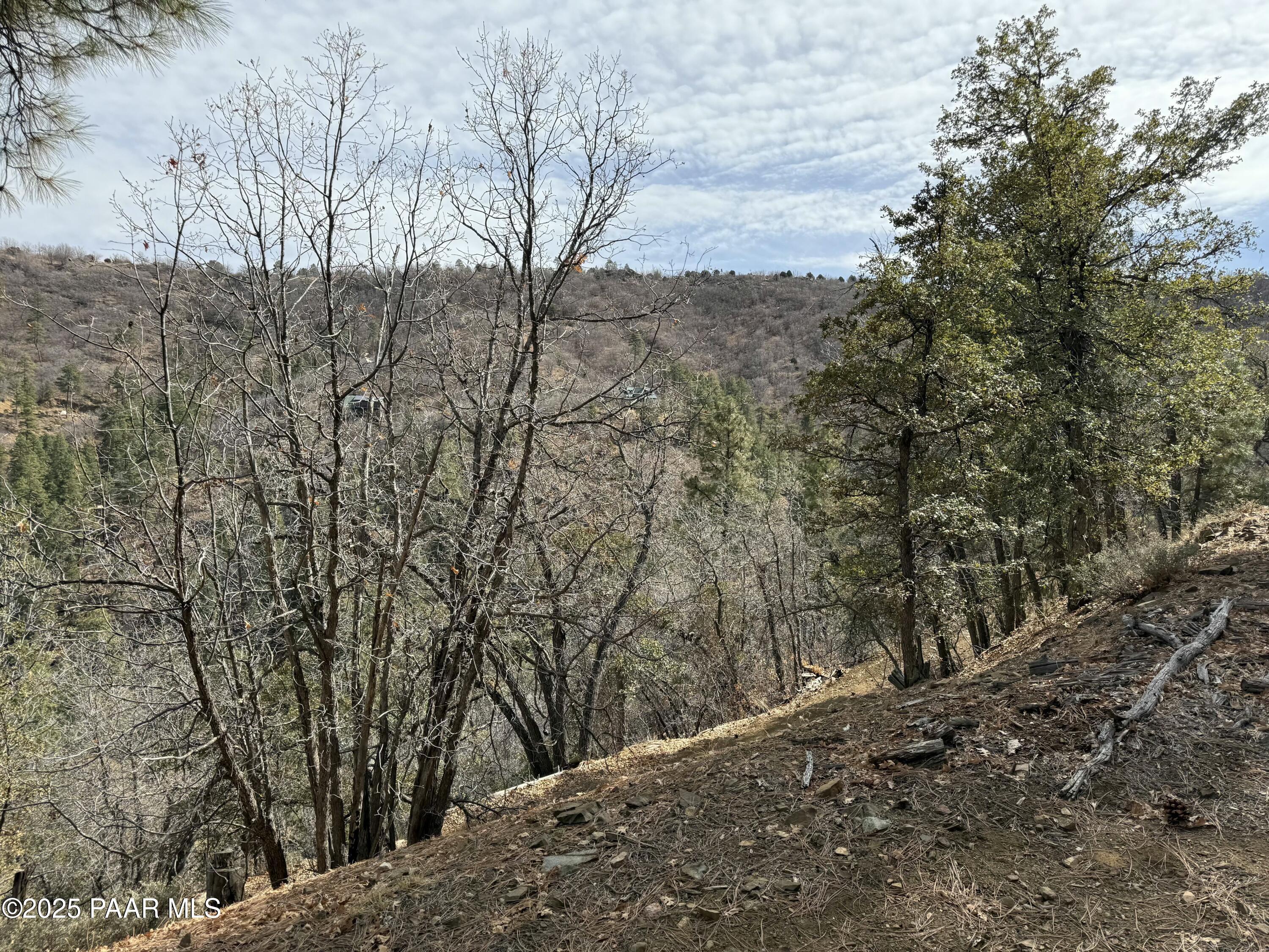 848 South X S Mountain View Road Mayer, AZ 86333 - Photo 3 of 20 a view of a forest filled with trees