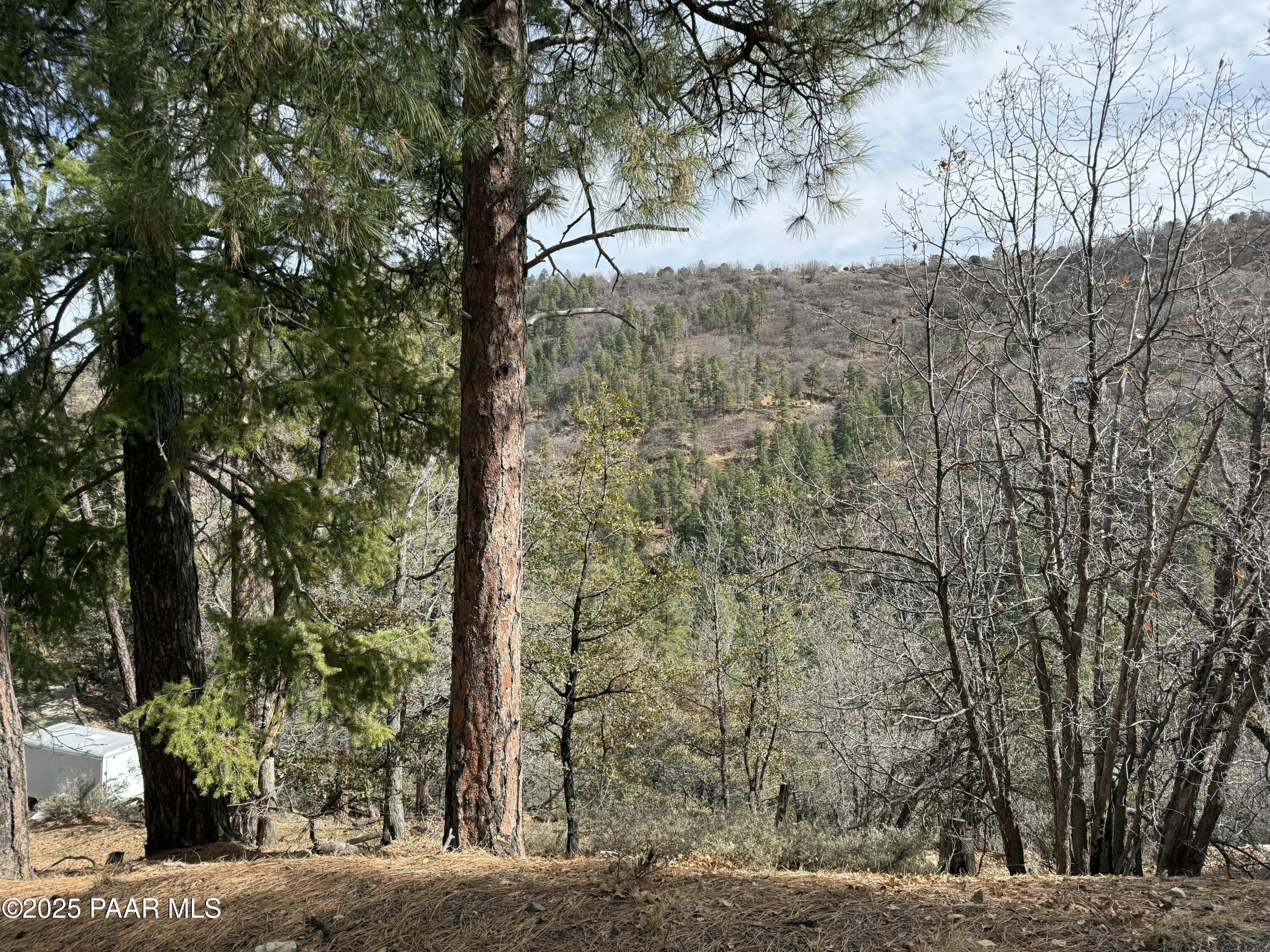 848 South X S Mountain View Road Mayer, AZ 86333 - Photo 5 of 20 a view of a yard with trees