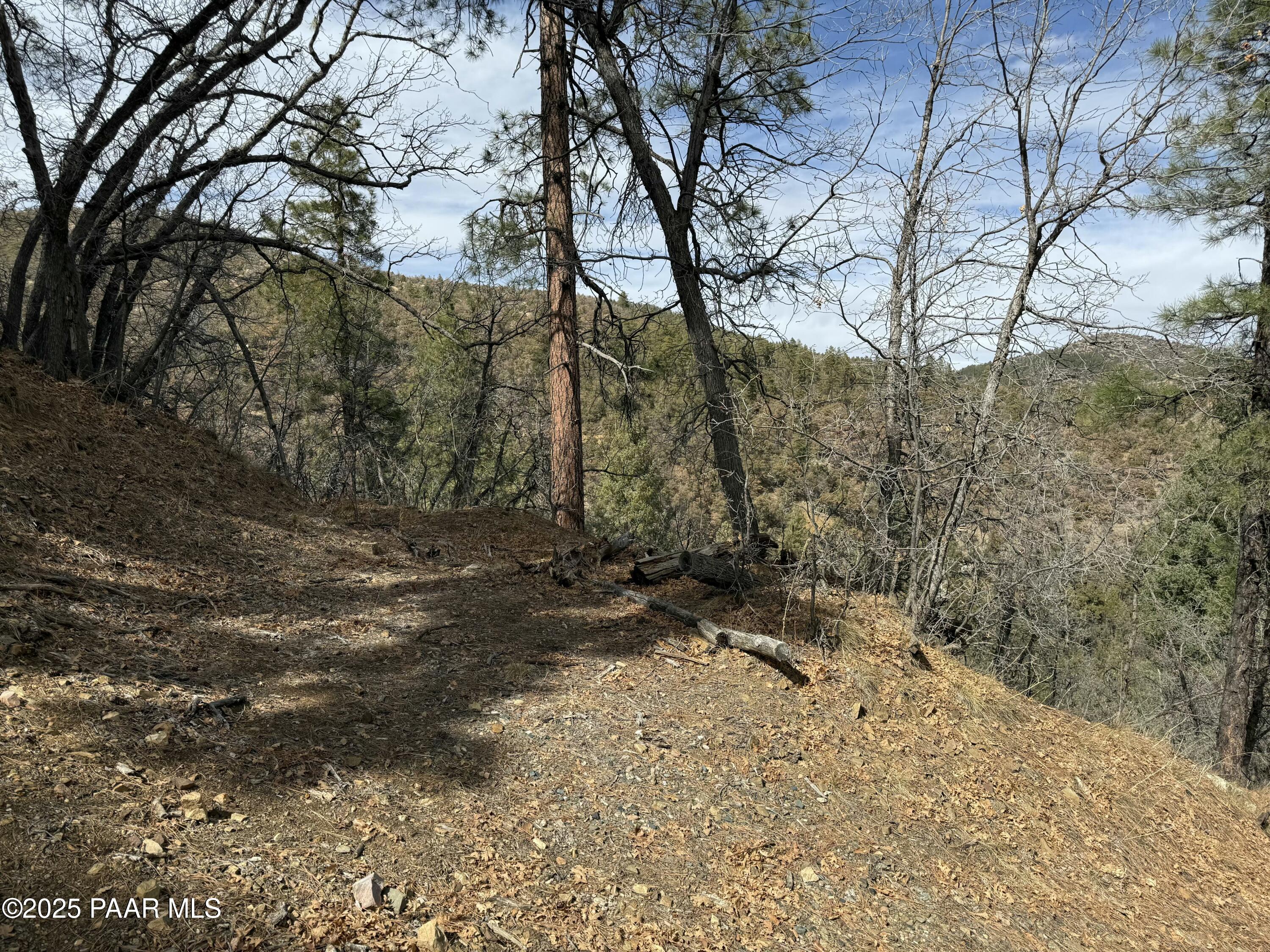 848 South X S Mountain View Road Mayer, AZ 86333 - Photo 6 of 20 a view of a yard with trees