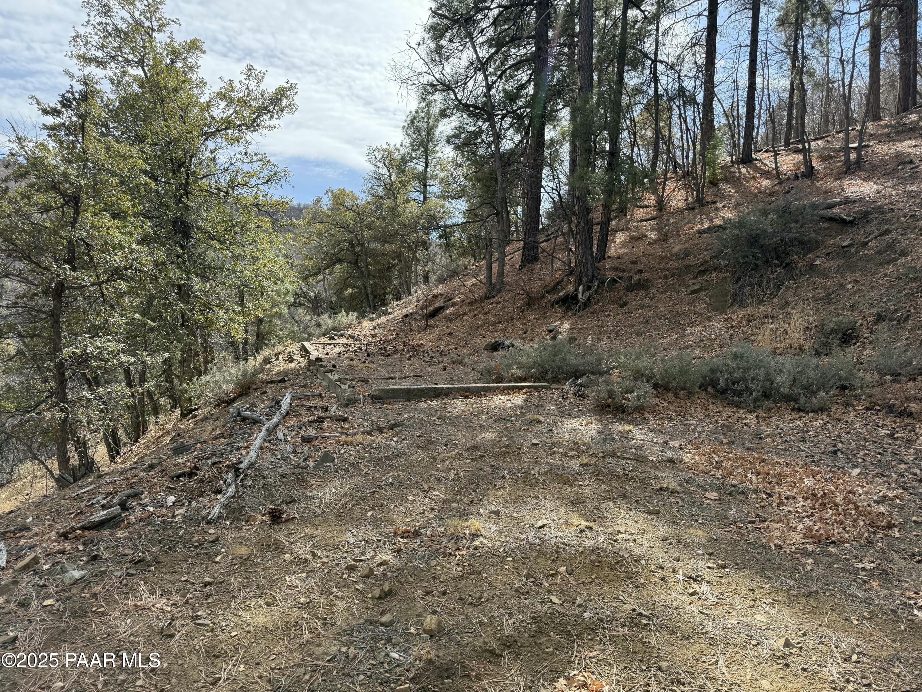 848 South X S Mountain View Road Mayer, AZ 86333 - Photo 8 of 20 a view of a forest with trees