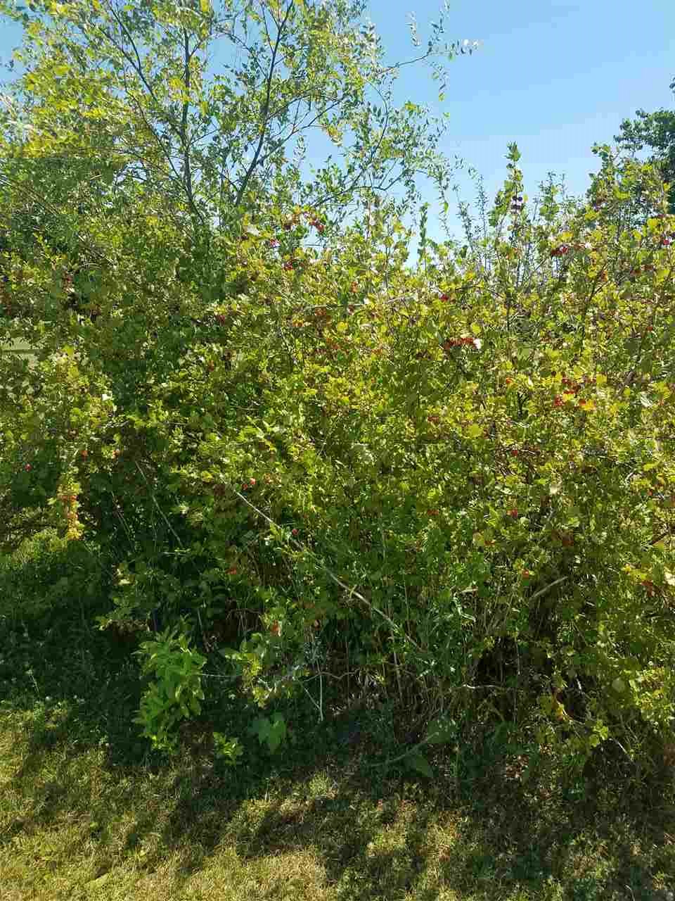 1384 East Cody Estey Road Pinconning, MI 48650 - Photo 22 of 40 Gallery Image 22