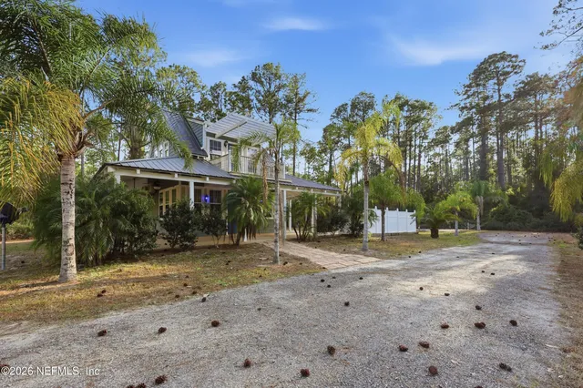 a view of a forest with a forest