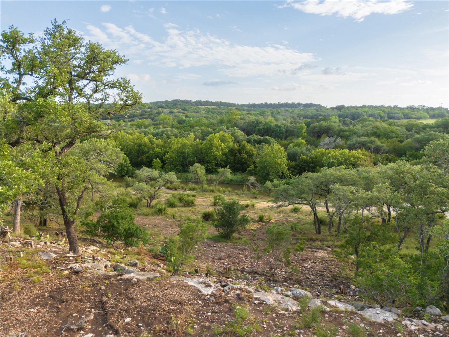 Lot 7 Byrd Ranch Road Johnson City, TX 78636 - Photo 23 of 25 a view of a field with lots of trees