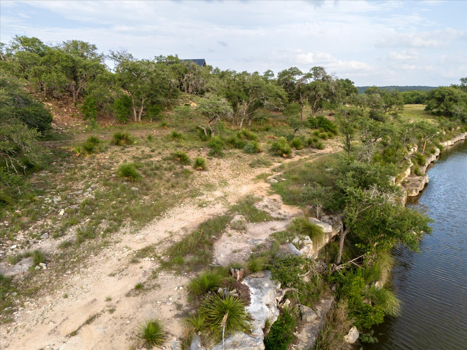 Lot 7 Byrd Ranch Road Johnson City, TX 78636 - Photo 25 of 25 a view of a forest with an trees
