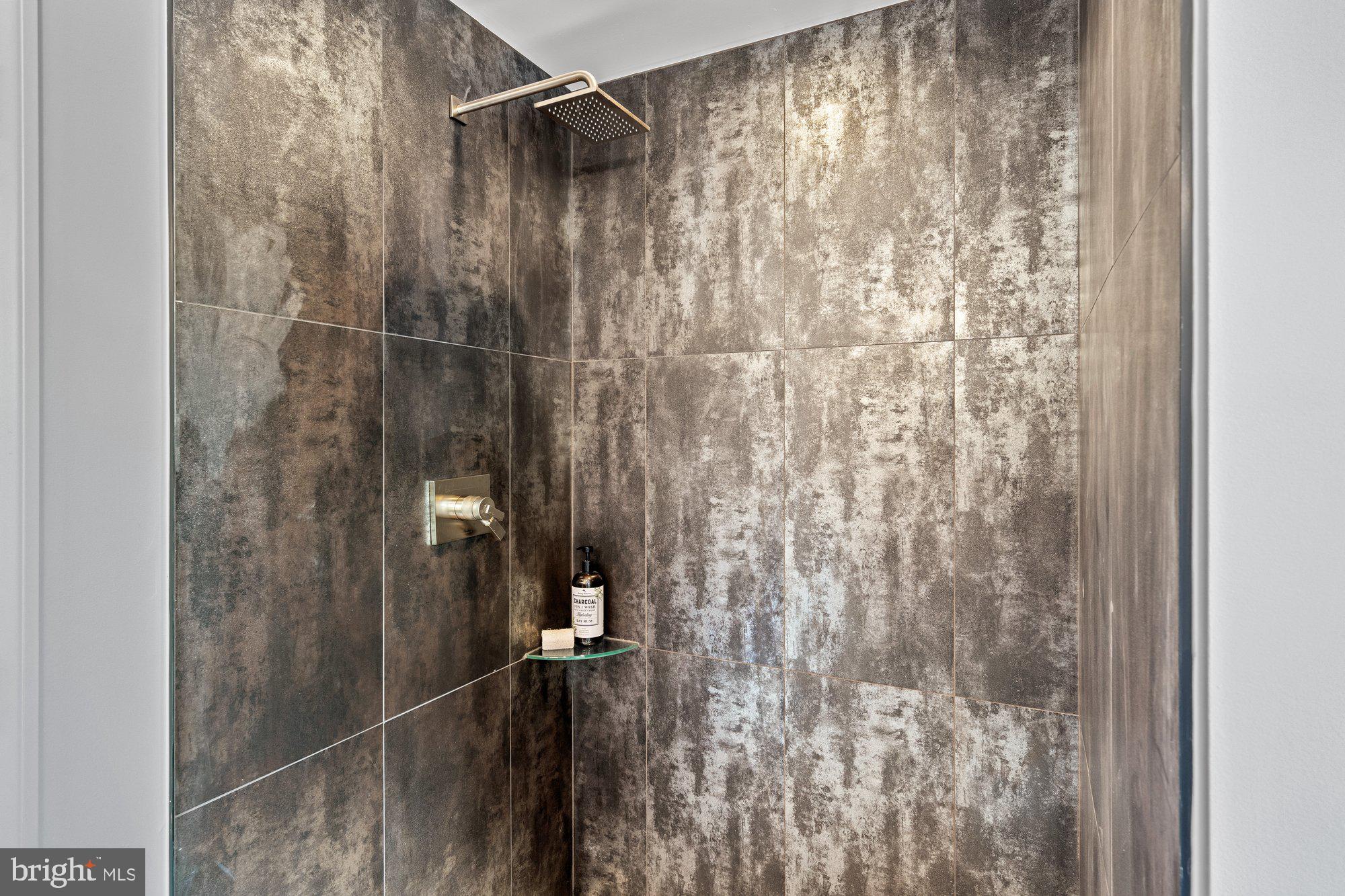 1615 Baltimore Road Alexandria, VA 22308 - Photo 7 of 36 Main floor walk-in shower