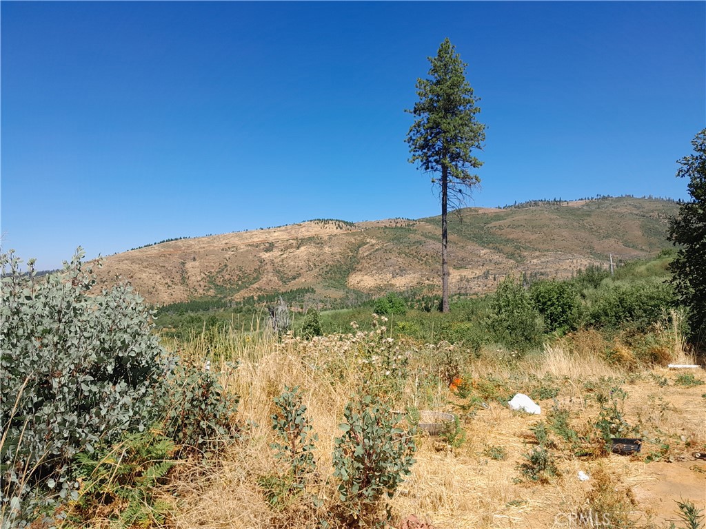 13356 Hog Ranch Road Oroville, CA 95965 - Photo 1 of 1 Gallery Image 1