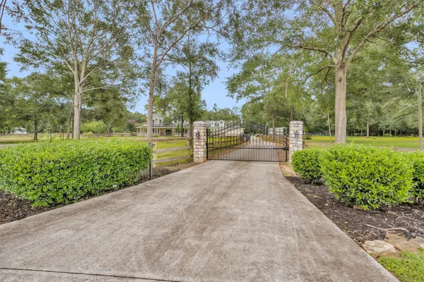 a view of a garden with pathway