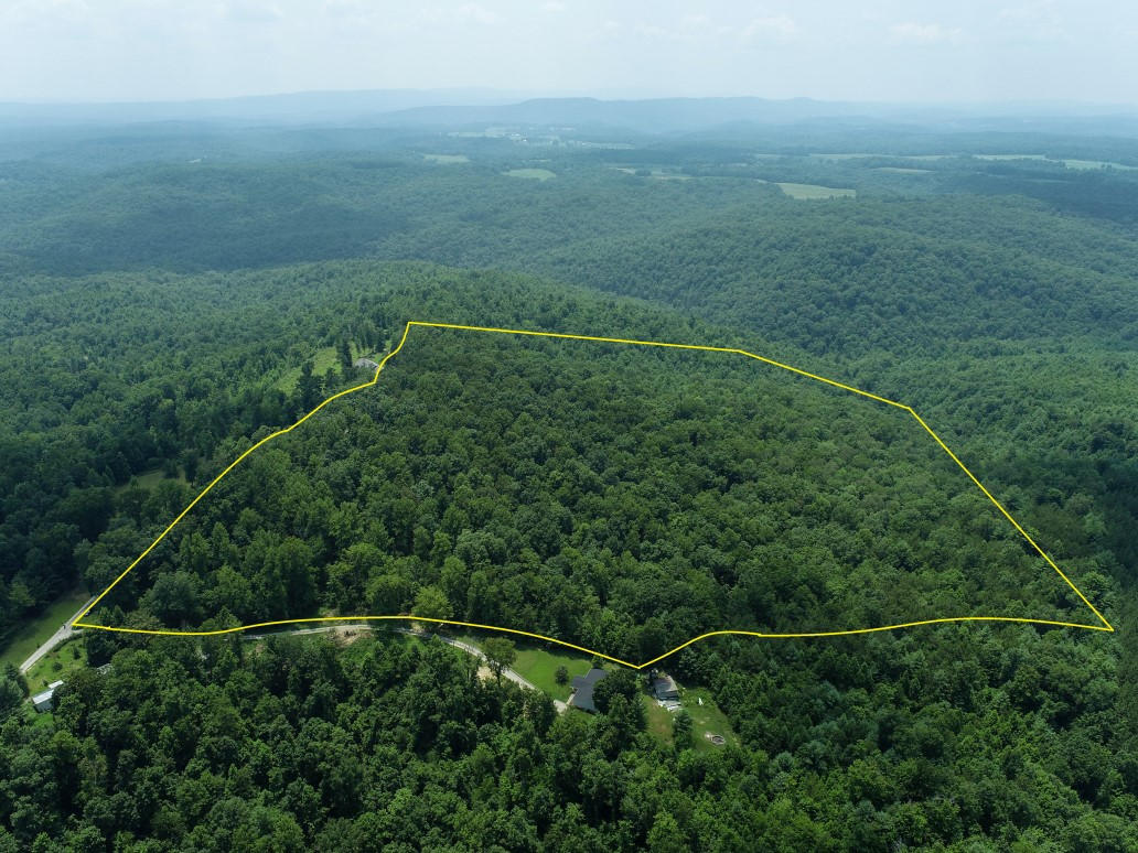 0 Adams Ridge Lancing, TN 37770 - Photo 11 of 18 10