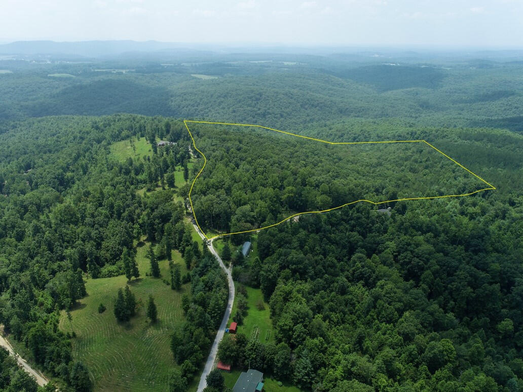 0 Adams Ridge Lancing, TN 37770 - Photo 13 of 18 12