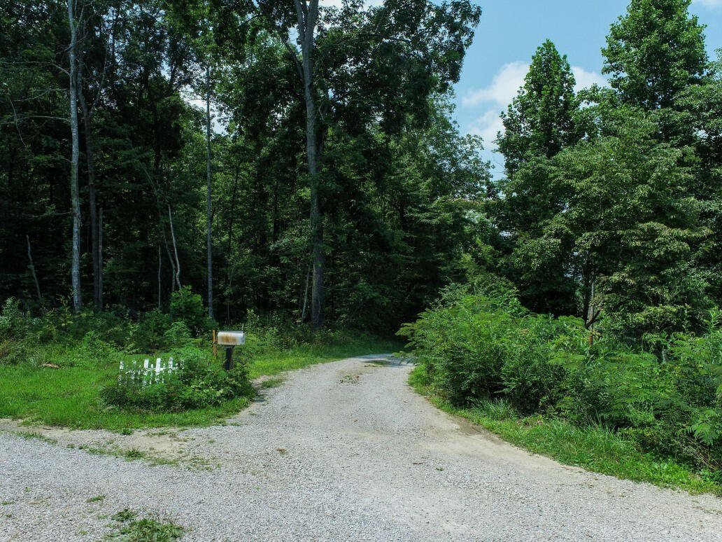 0 Adams Ridge Lancing, TN 37770 - Photo 15 of 18 14