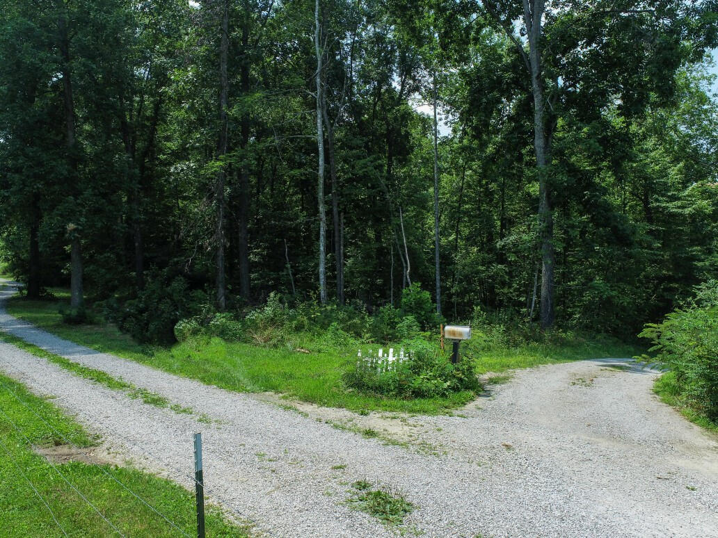 0 Adams Ridge Lancing, TN 37770 - Photo 16 of 18 15