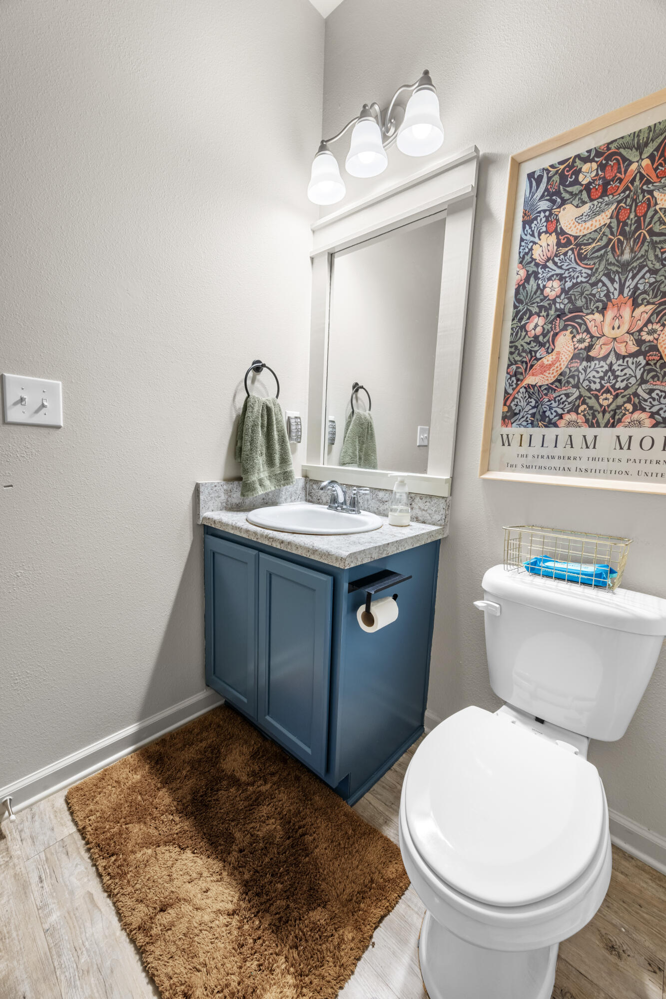 110 Cornelia Street Freeport, FL 32439 - Photo 29 of 60 a bathroom with a toilet a sink and mirror